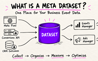What Is a Meta Dataset and How Does It Work